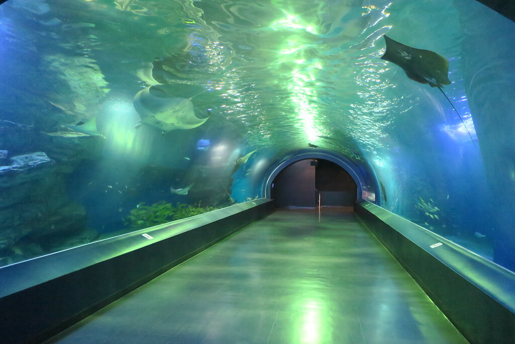 マクセル アクアパーク品川の写真8