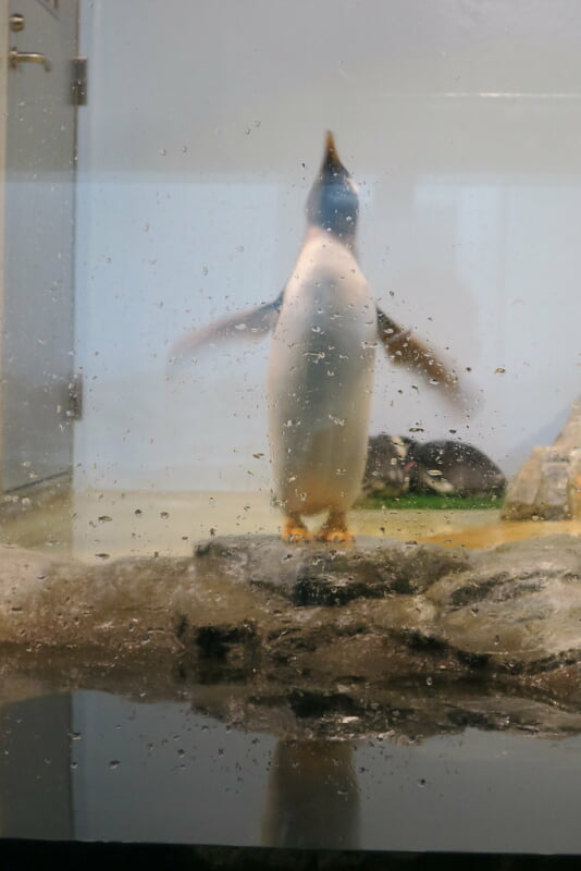 マクセル アクアパーク品川の写真9