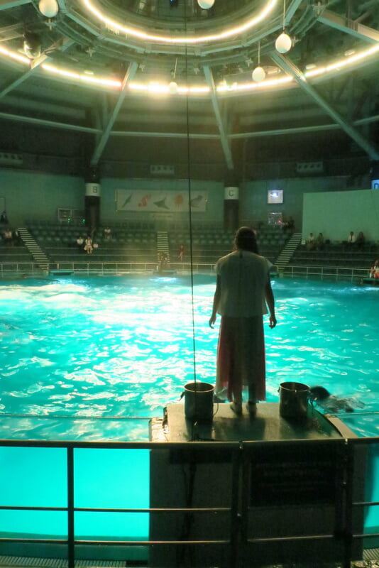 マクセル アクアパーク品川の写真15