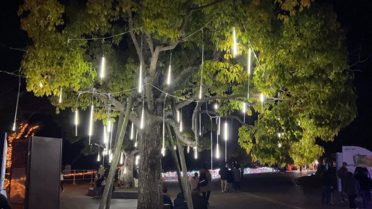 あすたむらんど徳島の写真1