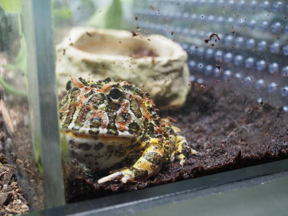 サンシャイン水族館の写真2