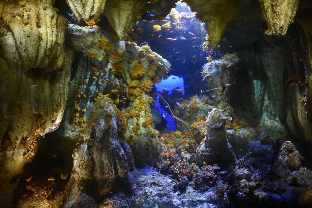 サンシャイン水族館の写真8