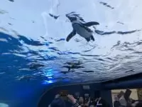 サンシャイン水族館