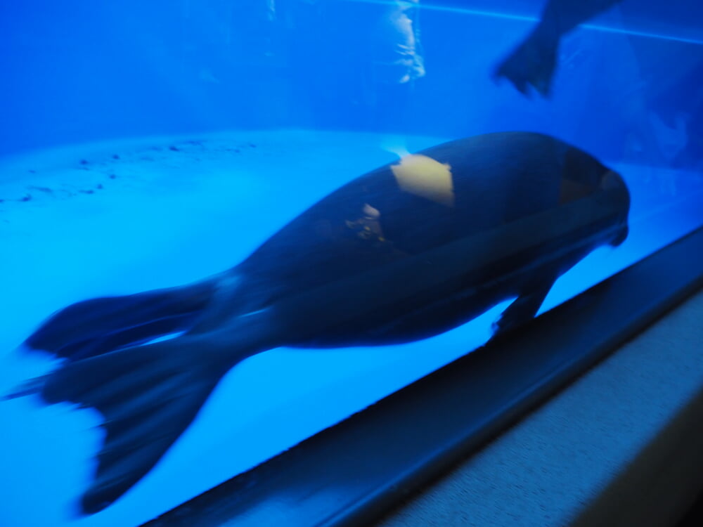 サンシャイン水族館の写真9