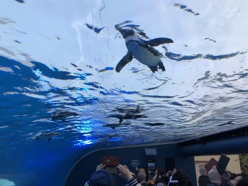 サンシャイン水族館の写真1