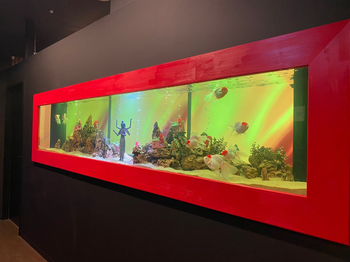 奈良金魚ミュージアムの写真2