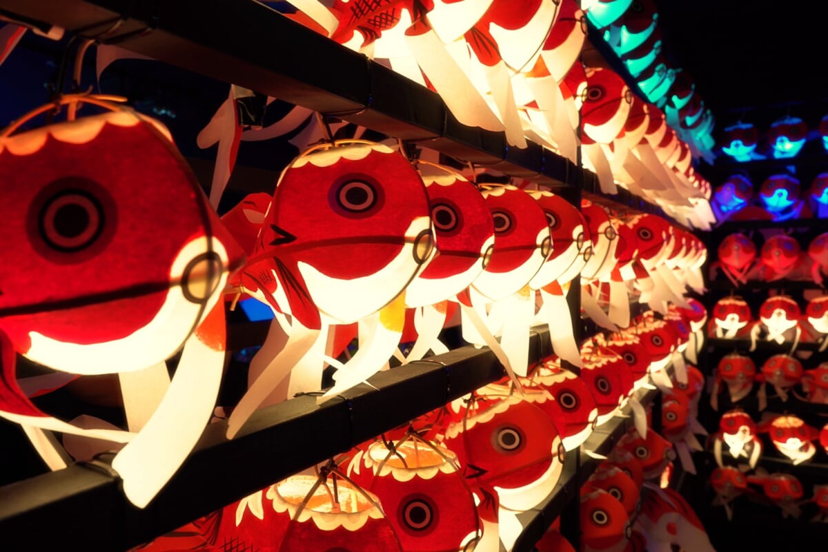 奈良金魚ミュージアムの写真5