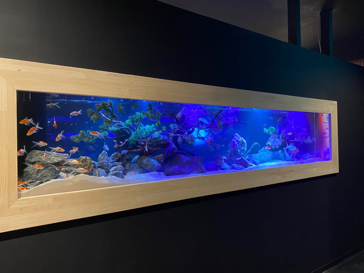 奈良金魚ミュージアムの写真7