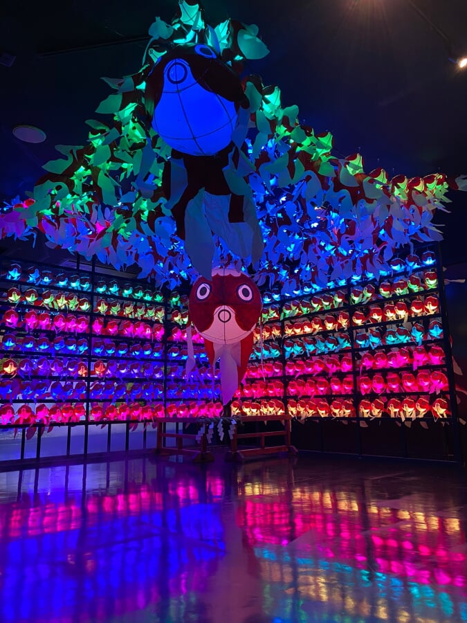 奈良金魚ミュージアムの写真10