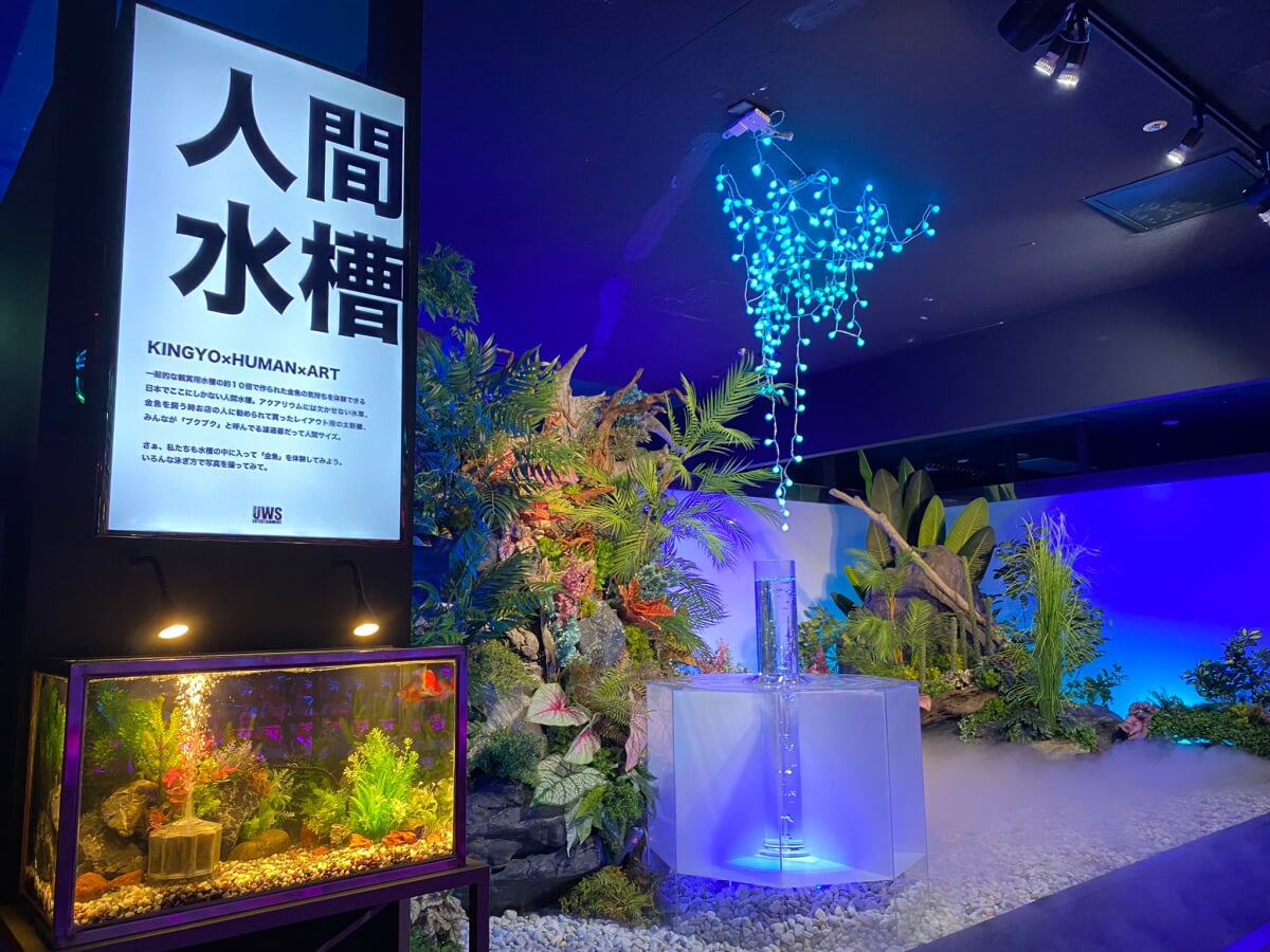 奈良金魚ミュージアムの写真12