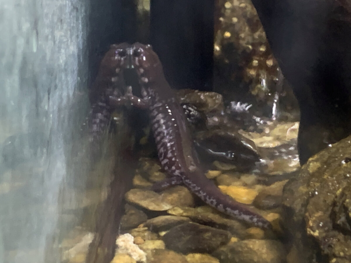 佐賀県立宇宙科学館 ゆめぎんがの写真2