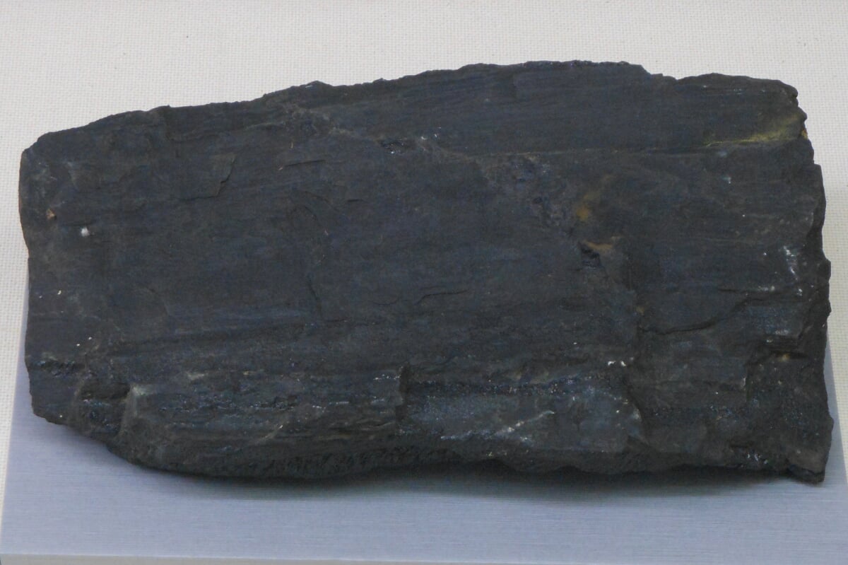 佐賀県立宇宙科学館 ゆめぎんがの写真3