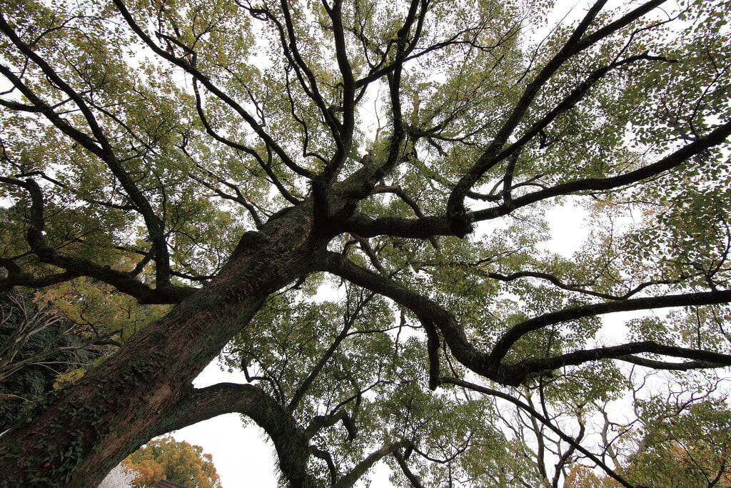 熊本県立美術館の写真3