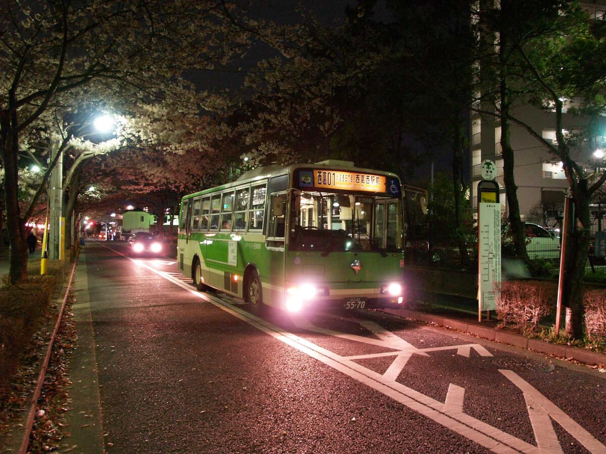宇喜田さくら公園の写真1
