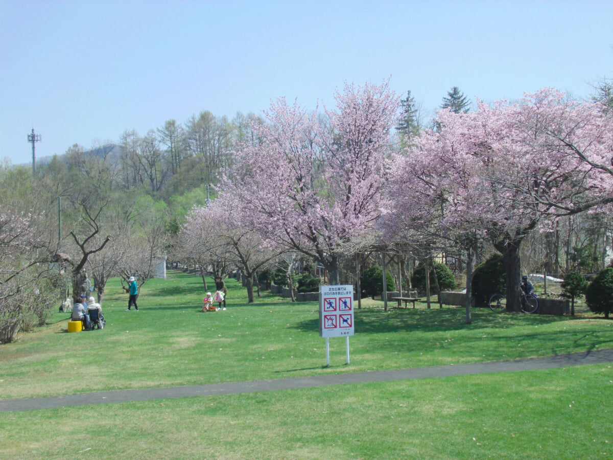 十五島公園の写真1