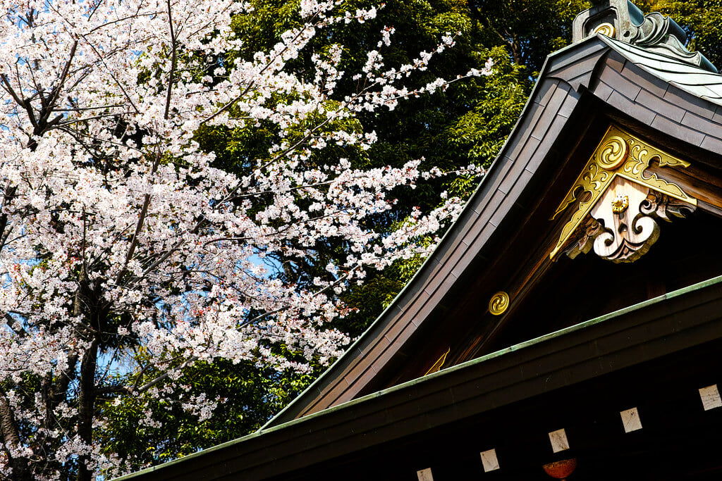 赤羽八幡神社の写真1