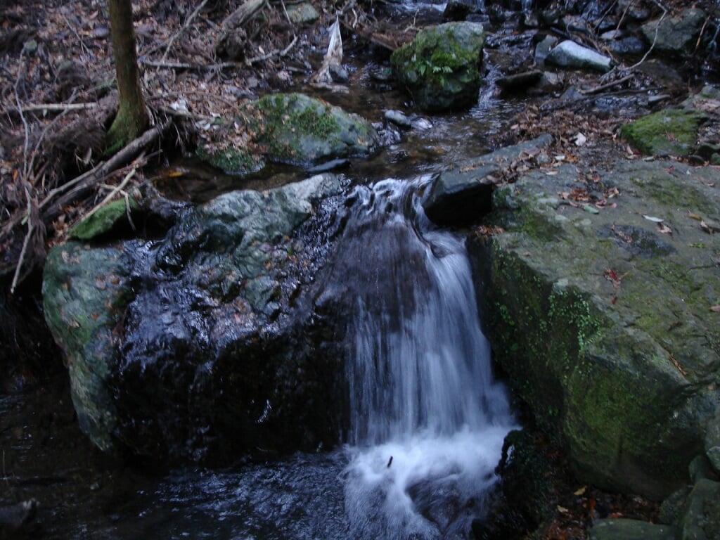 愛宕山の写真10