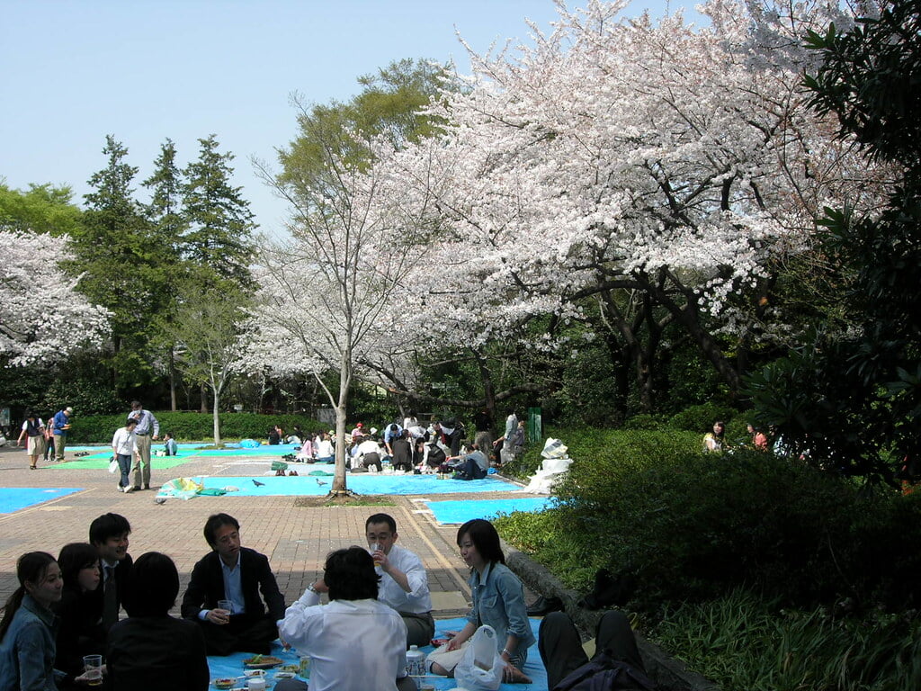 愛宕山の写真12