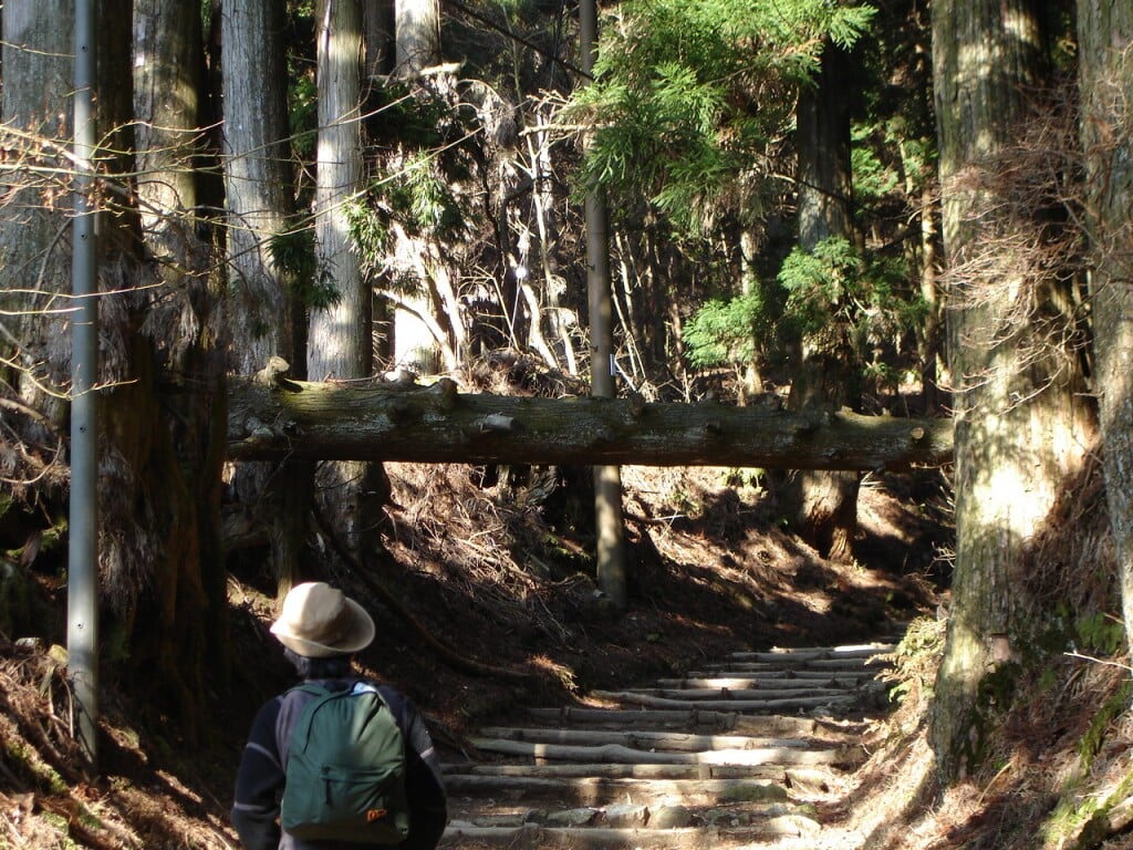 愛宕山の写真13