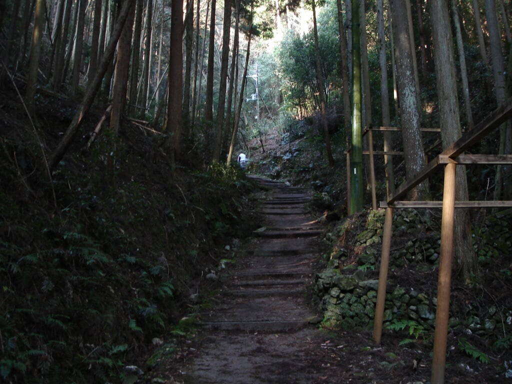 愛宕山の写真14