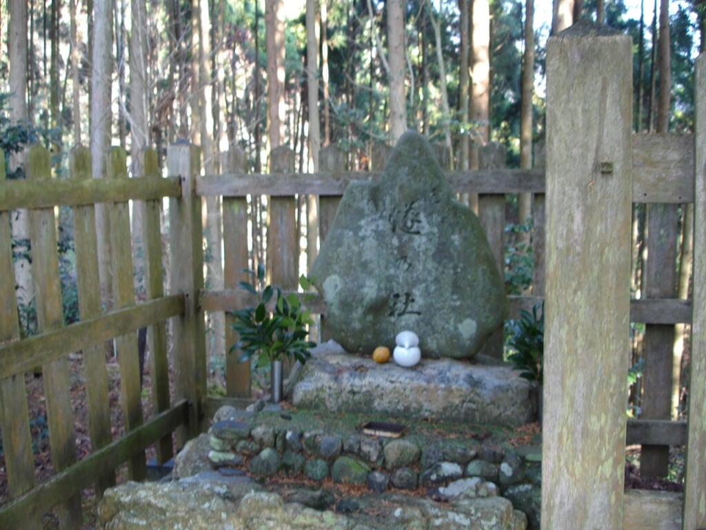 愛宕山の写真15