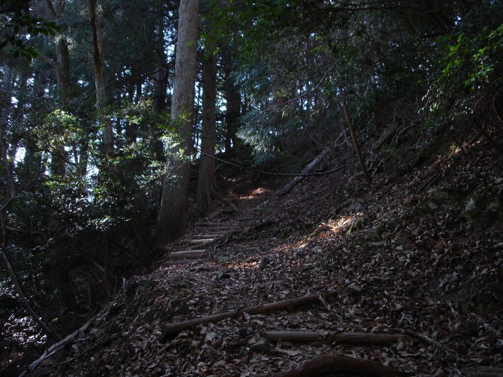 愛宕山の写真18