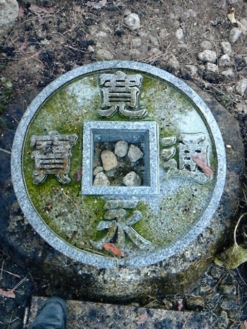 琴弾公園の写真3