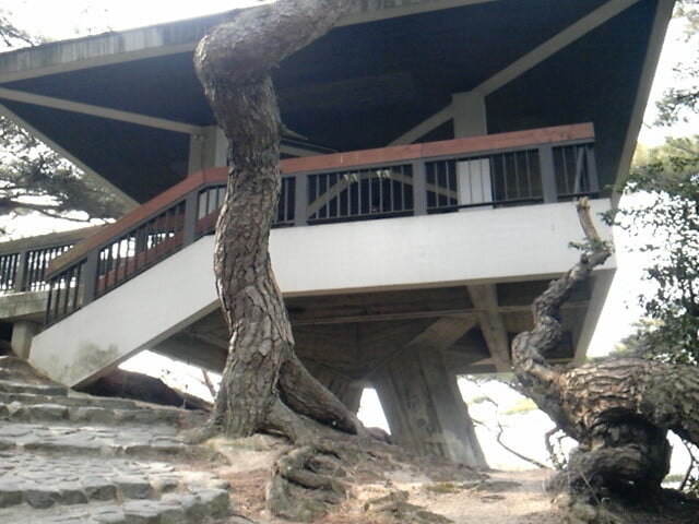 琴弾公園の写真1