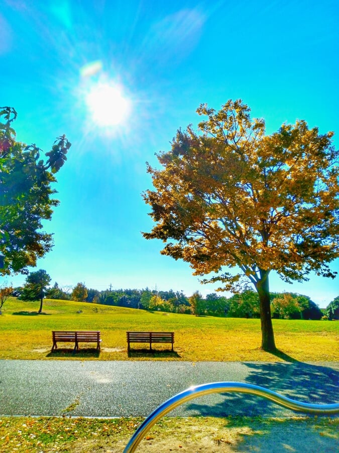 豊橋総合スポーツ公園の写真2