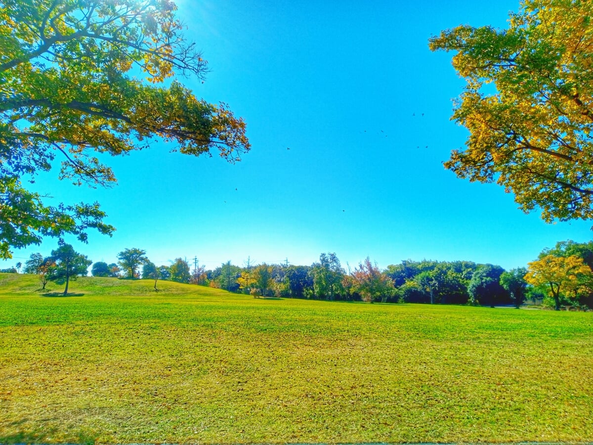 豊橋総合スポーツ公園の写真1