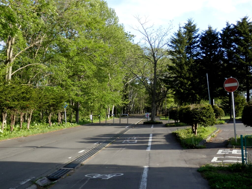 恵庭公園の写真2