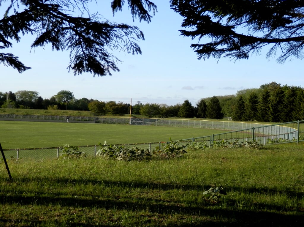 恵庭公園の写真1