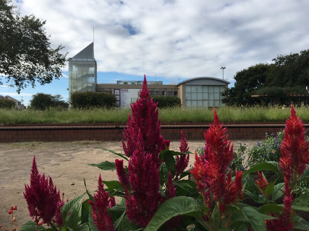 神山公園の写真6