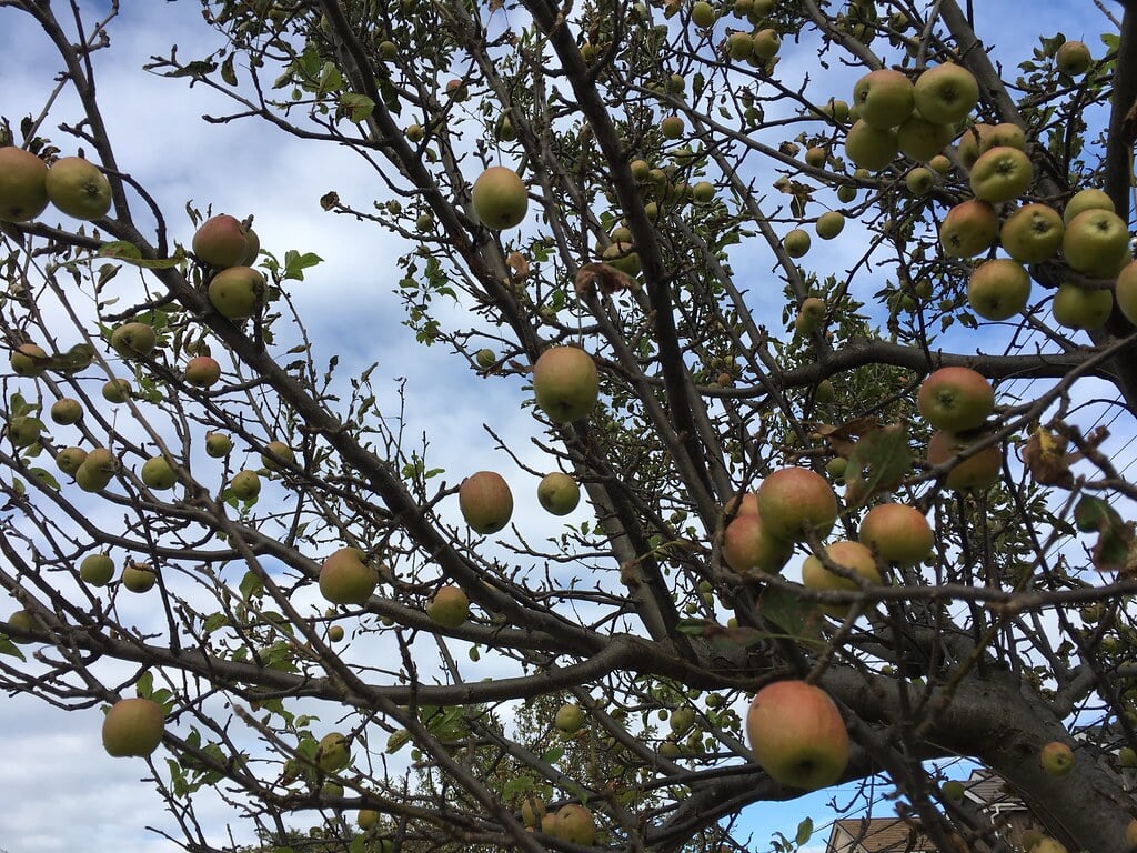 神山公園の写真7