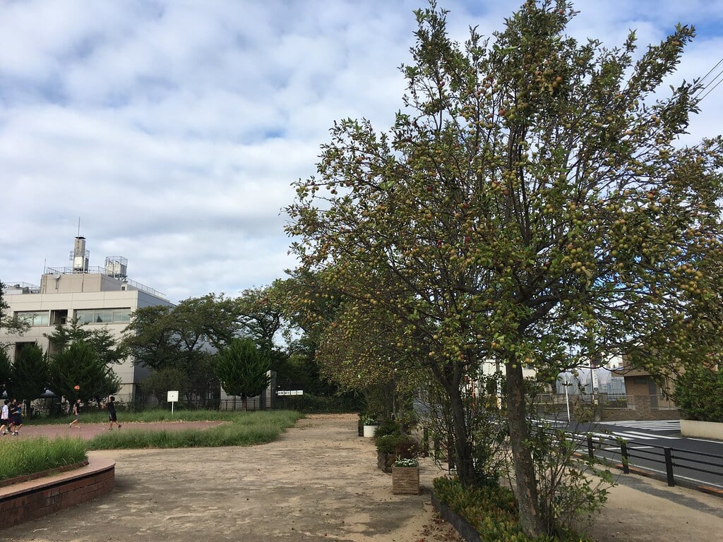 神山公園の写真1