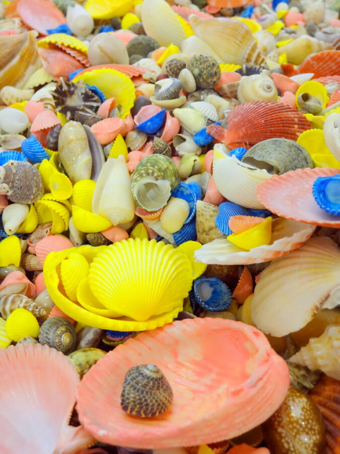 スパリゾートハワイアンズの写真15