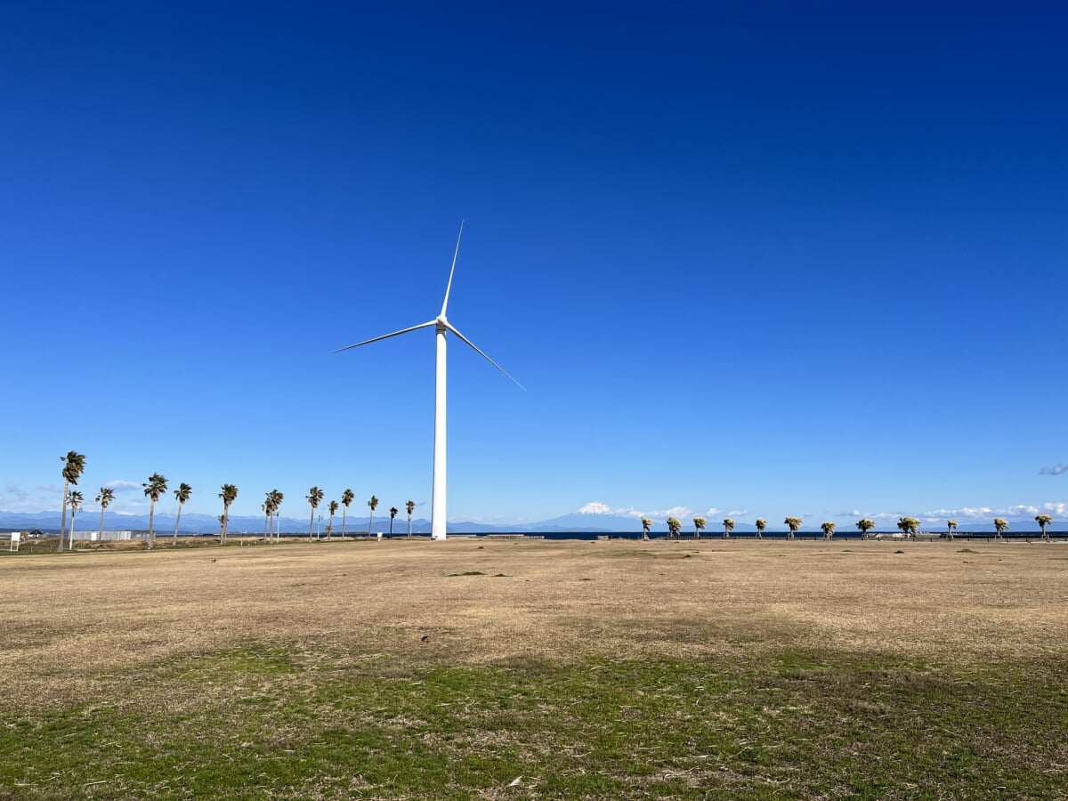マリンパーク御前崎海水浴場の写真2