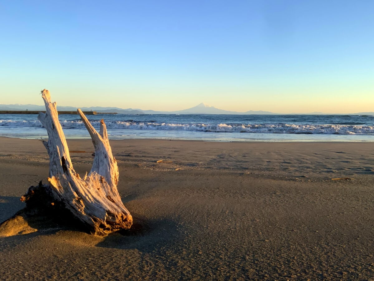 マリンパーク御前崎海水浴場の写真3