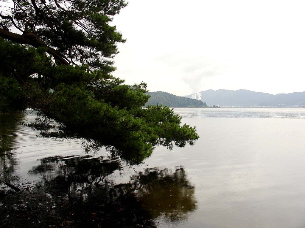 天橋立 傘松公園の写真2