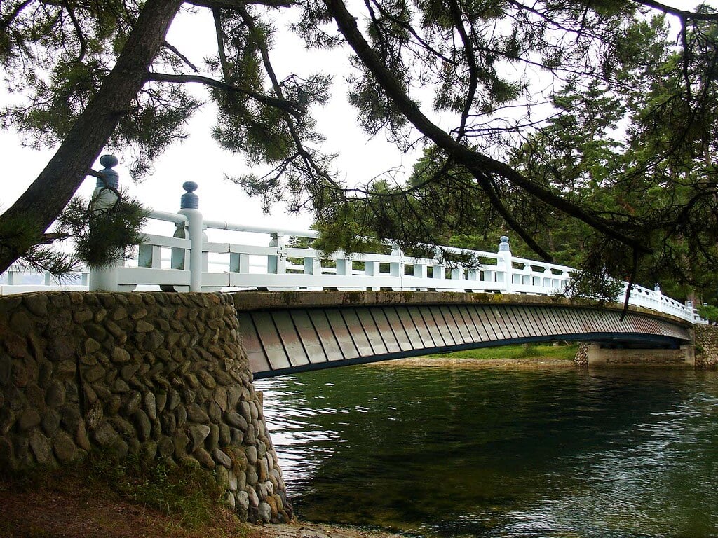 天橋立 傘松公園の写真1