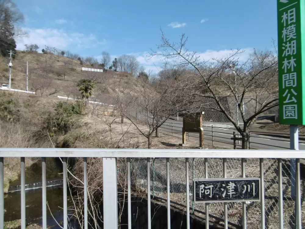 林間公園の写真1