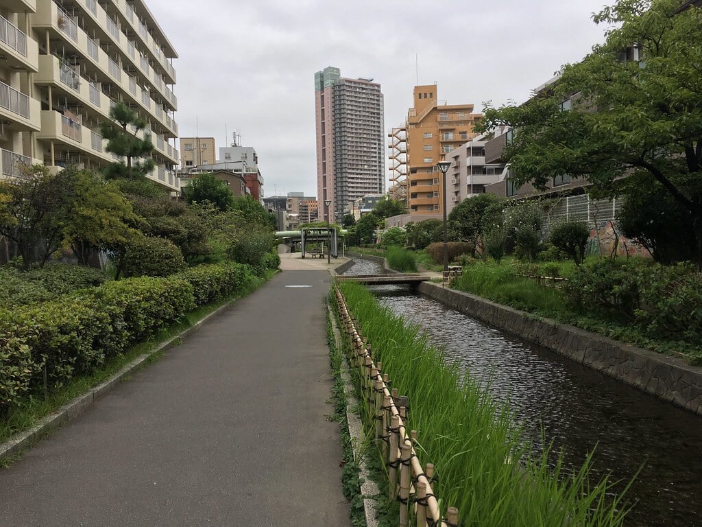 牡丹町公園の写真4