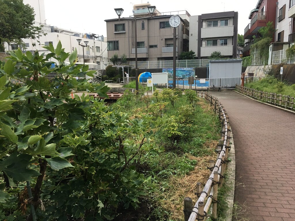 牡丹町公園の写真1