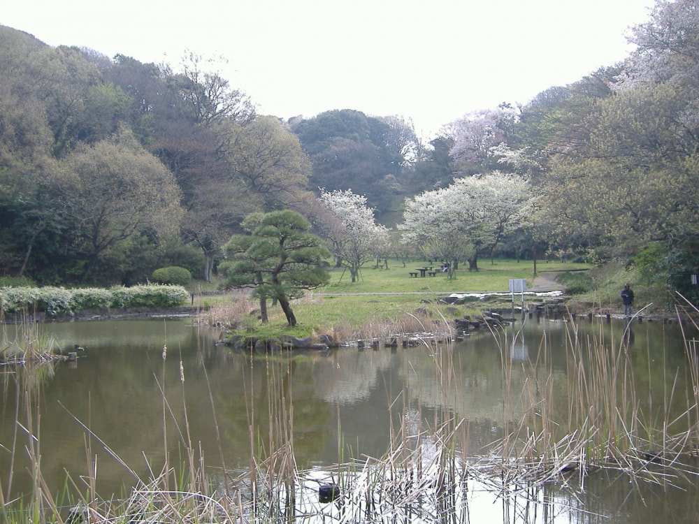 久良岐公園の写真4