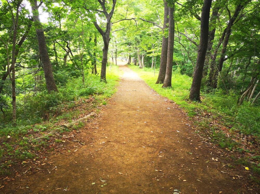 弘法山公園の写真3