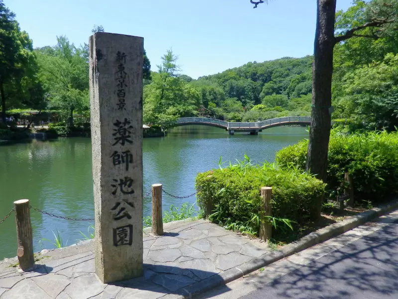 町田薬師池公園 四季彩の杜の写真1