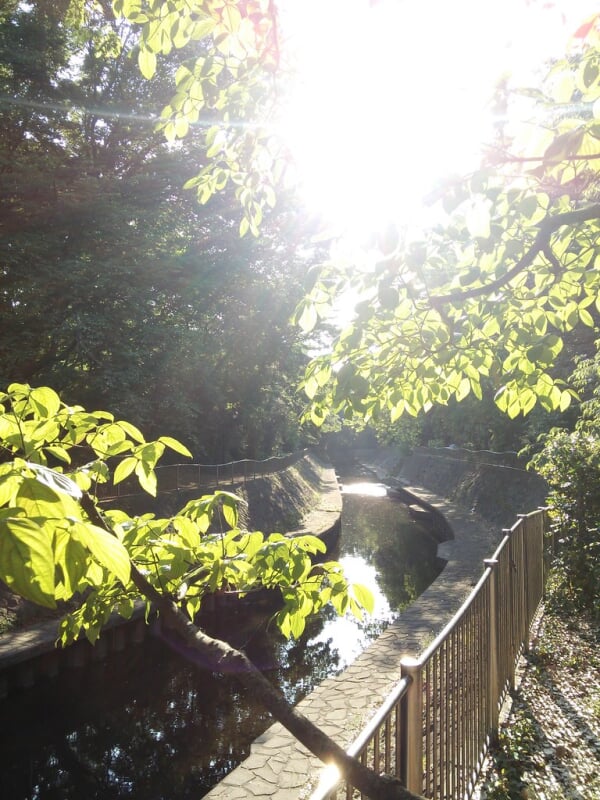 和田堀公園の写真3