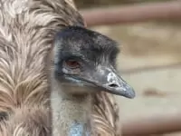 しろとり動物園