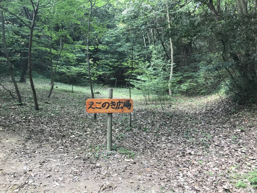 篠栗九大の森の写真5