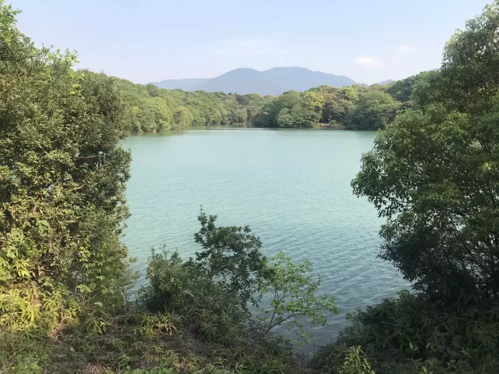 篠栗九大の森の写真1